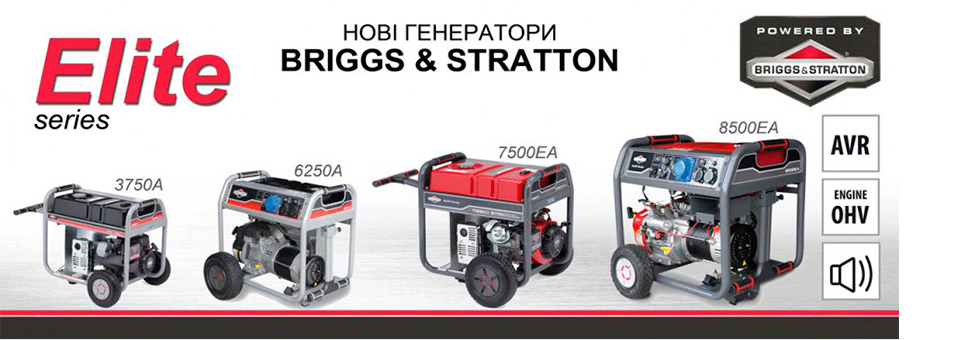 Briggs & Stratton 5